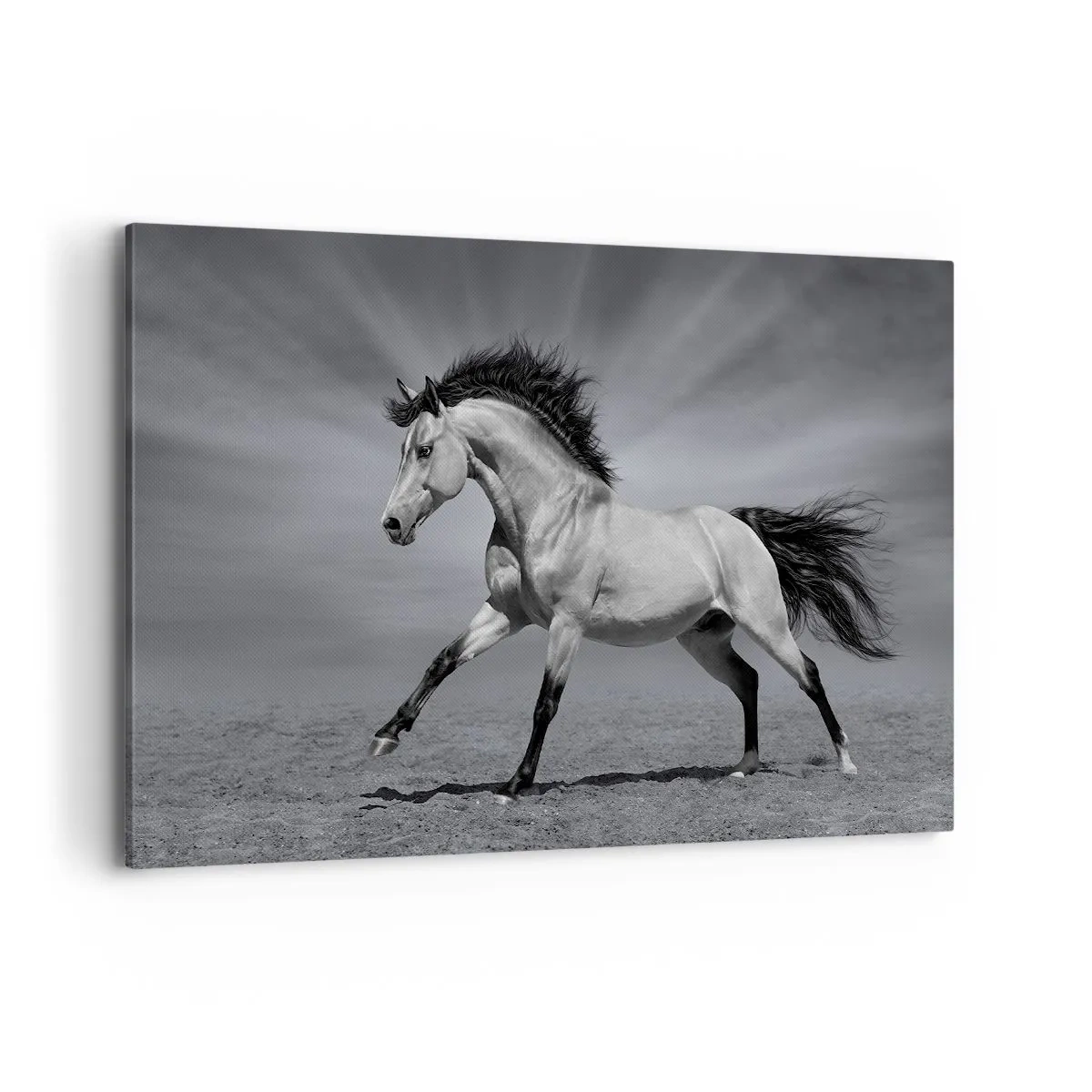 Lærredstryk - Billede på lærred - Født til glæde - 120x80 cm