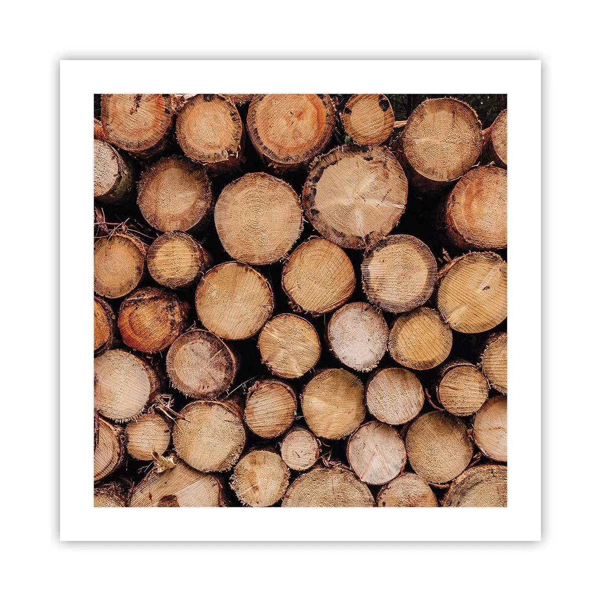 Plakat - En ny begyndelse - 50x50 cm