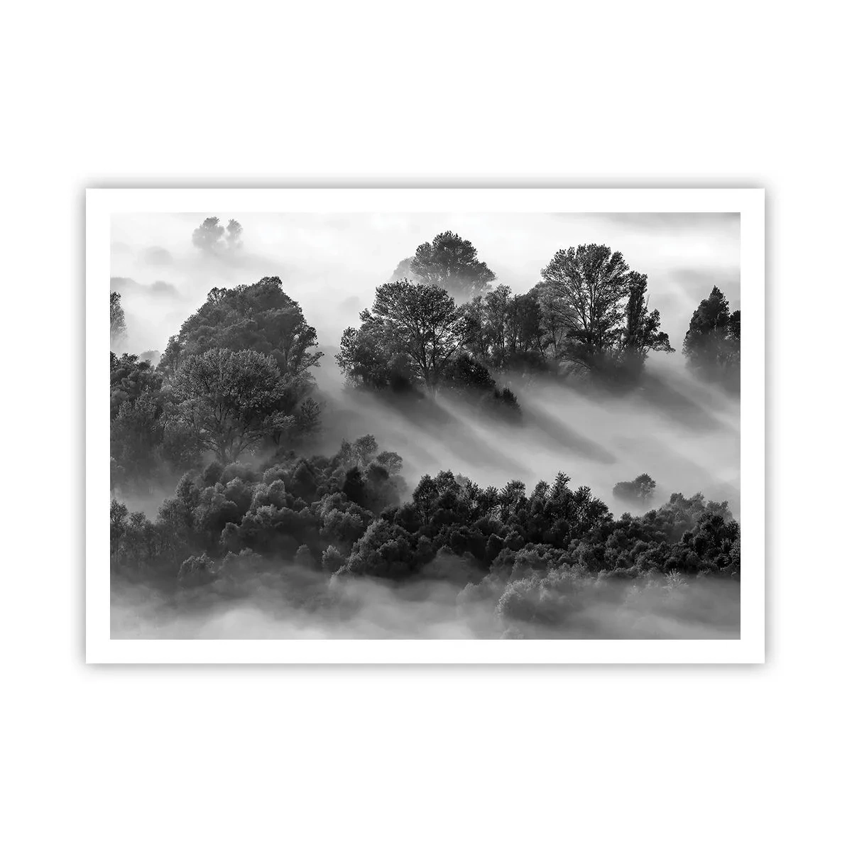Plakat - At vågne fra søvnen - 100x70 cm