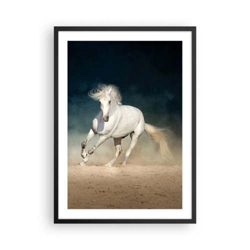 Plakat i sort ramme - En hvid hest galoperer hen over sandjorden - 50x70cm - Frihed i en ren tilstand - Moderne vægdekoration til stue og soveværelse ARTTOR
