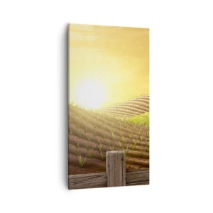 Lærredstryk - Billede på lærred - En gård som et eventyr - 55x100 cm