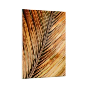 Billede på glas - Kokosnød guld - 50x70 cm
