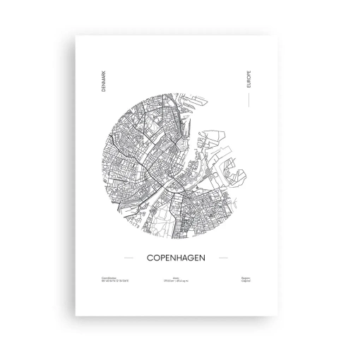 Plakat - Københavns anatomi - 50x70 cm