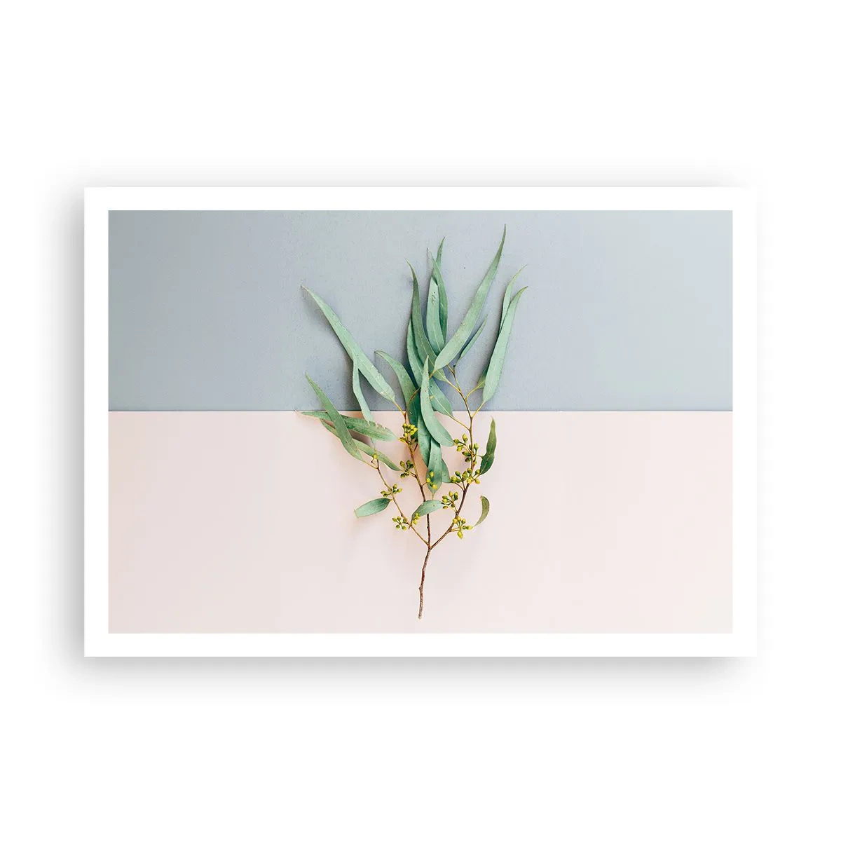 Plakat - Pastelfarvernes subtilitet - 100x70 cm