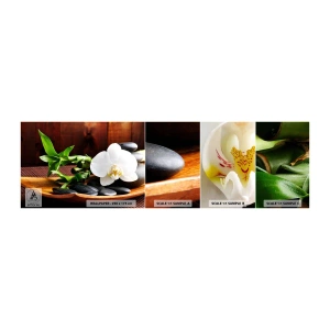 Prøve Fototapet Selvklæbende Deluxe Sticker - Overgiv dig til naturens berøring - Blomster, Orkidé, Orkidé - 100x30 cm