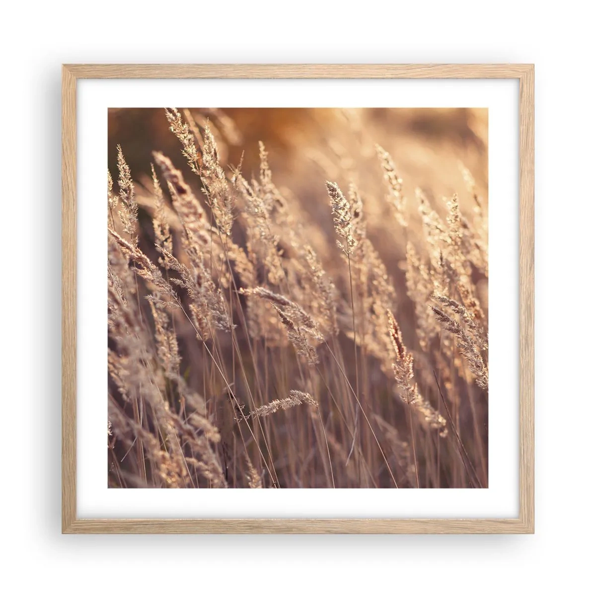 Plakat i ramme af lyst egetræ - Klar til at byde efteråret velkommen - 50x50 cm