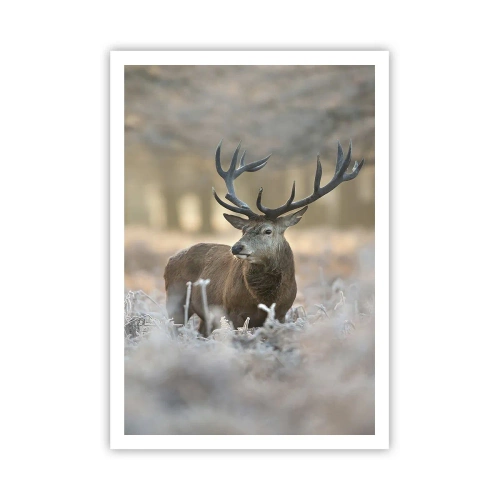 Plakat - En frisk morgen - 70x100 cm