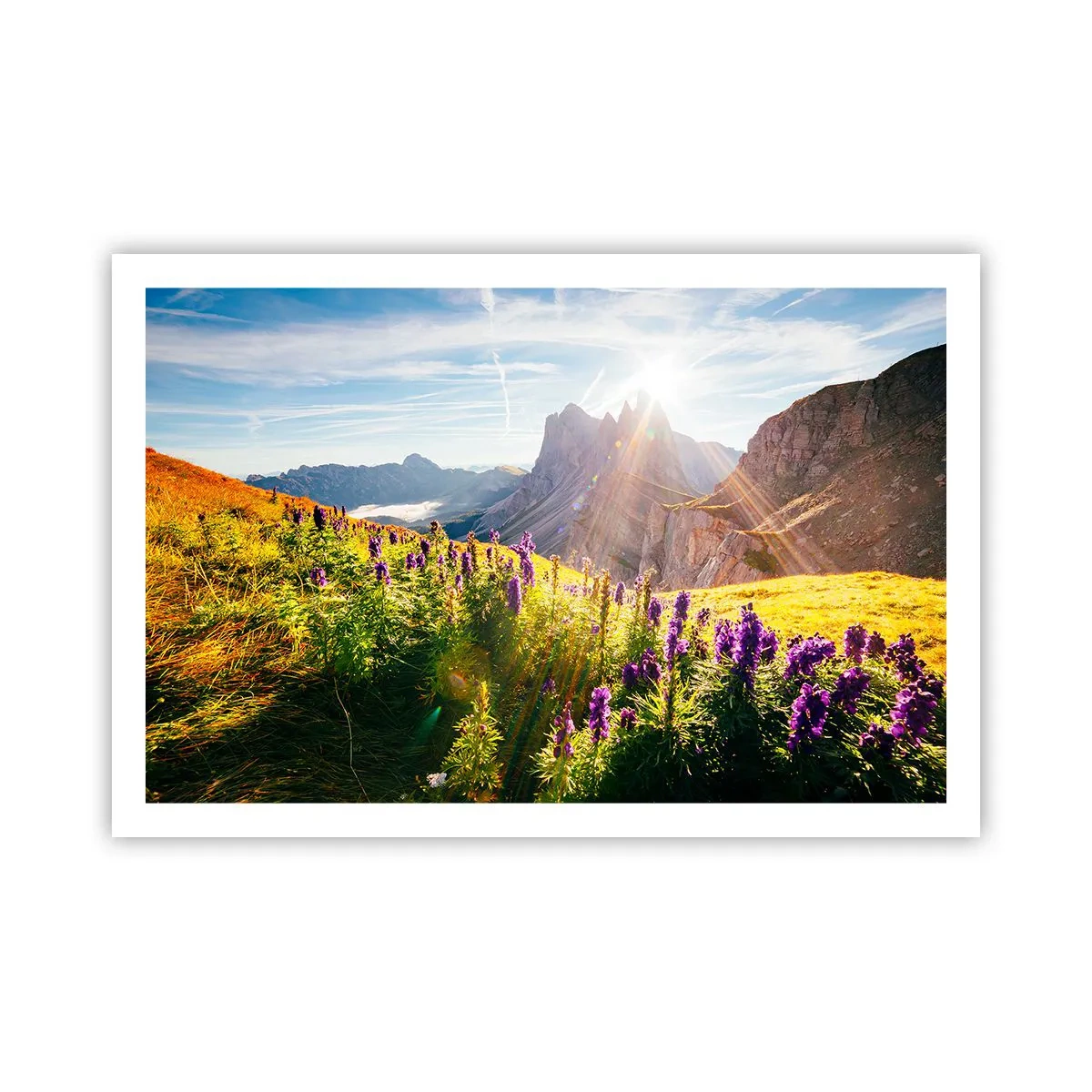 Plakat - Urternes hemmelige liv - 91x61 cm