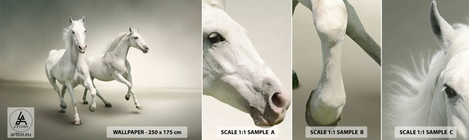 Fototapet Prøve Standard Eco - White power! - Dyr, Heste, Natur - 100x30 cm