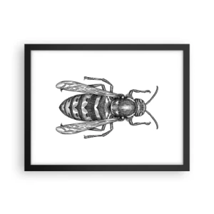 Plakat i sort ramme - Fra en insektplanet - 40x30 cm