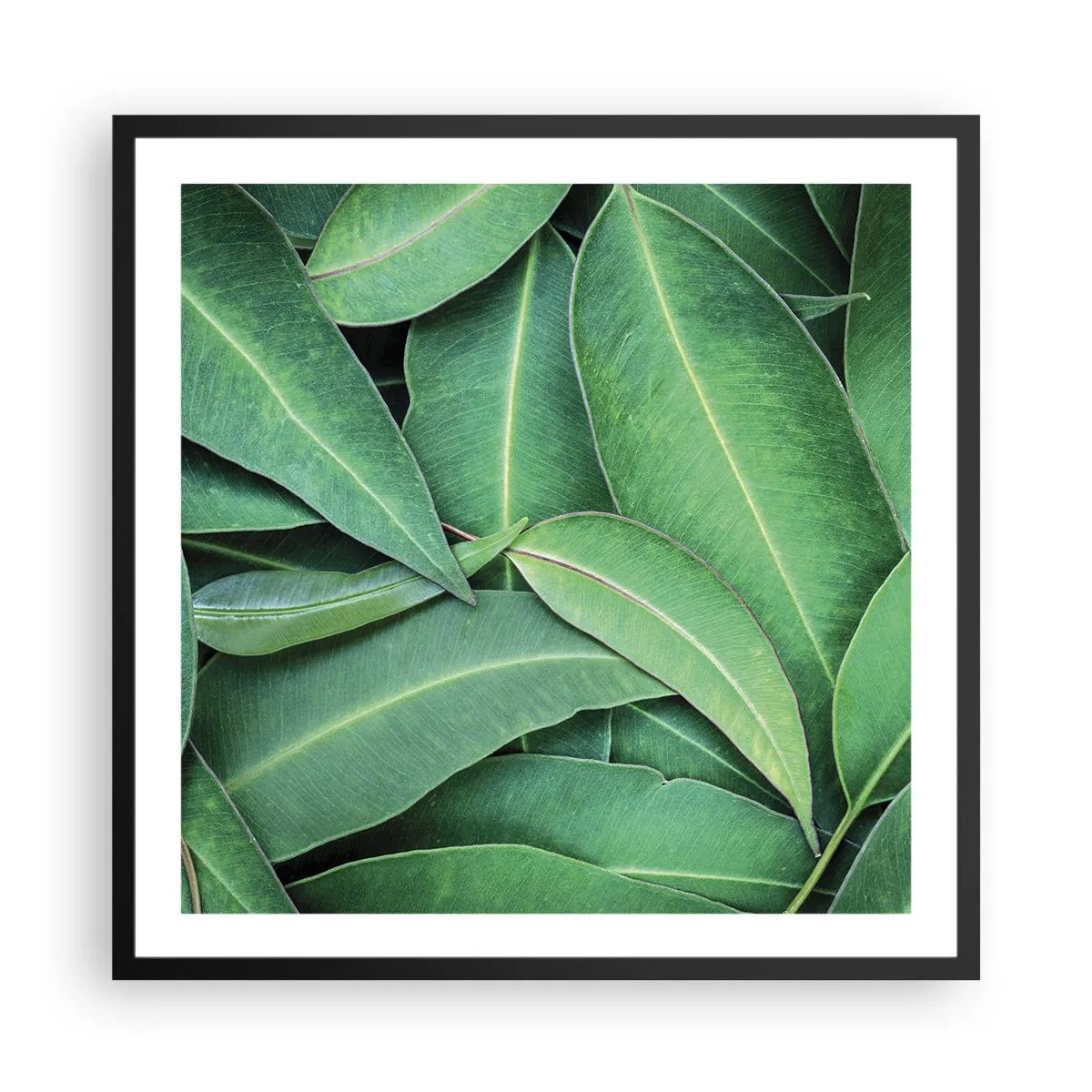 Plakat i sort ramme - Saftig og frisk - 60x60 cm