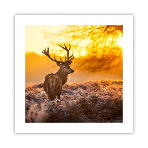 Plakat - Kongen af efterårsskoven - 40x40 cm