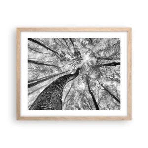 Plakat i ramme af lyst egetræ - Kapløb mod lyset - 50x40 cm