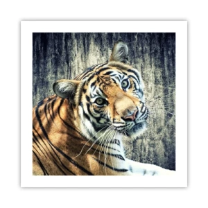 Plakat - Portræt i lysstrømme - 50x50 cm